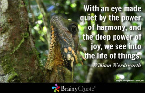 ... of harmony, and the deep power of joy, we see into the life of things