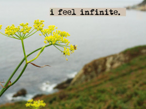 Perks Of Being A Wallflower Quotes Infinite Tumblr