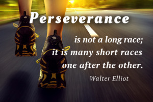 used a quote from Walter Elliot* as inspiration: “ Perseverance ...