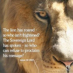 The lion has roared - so who isn’t frightened? The Sovereign Lord ...