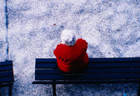 AARP Supplemental Insurance Quote