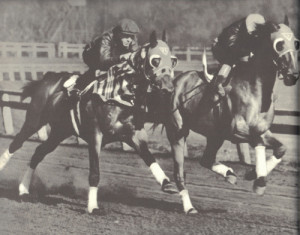 Stablemates Seabiscuit and Fair Knightess working out