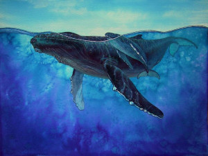... Inspiration, Humpback Whales Carlos Hil, Baby Whales, Carlo Hiller