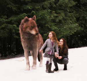 Twilight Saga Jacob And Renesmee Bella, renesmee and jacob