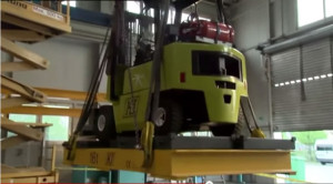 Heaviest Weight Lifted With Ears