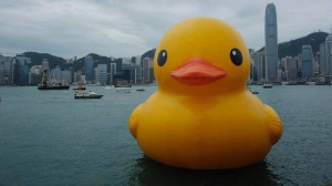 XVY105_Hong_Kong_Rubber_Duck.jpg