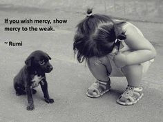 If you wish mercy, show mercy to the weak. ~Rumi #quotes More
