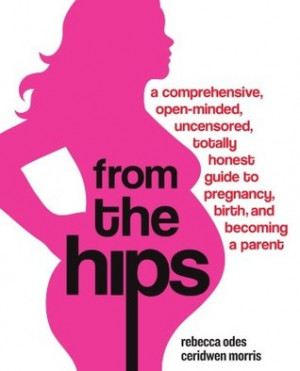 ... , Totally Honest Guide to Pregnancy, Birth, and Becoming a Parent