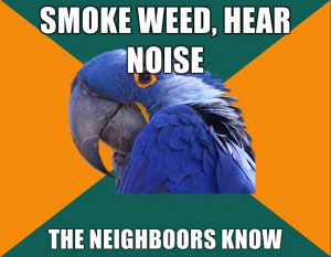 paranoid-parrot-smoke-weed-meme