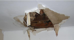 ... compare landlord insurance. . Auto Insurance Quotes OR State Auto