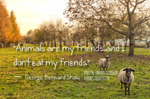 ... are my friends...and I don't eat my friends. ― George Bernard Shaw