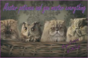 Poster> Master patience and you master everything. Gaye Crispin #quote ...
