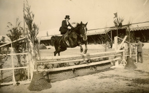 Posted in Jumping , Quotes | Leave a response