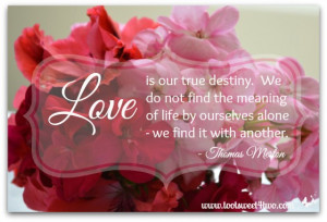 Love is Our True Destiny
