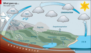 Cinca Mati The Water Cycle