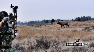 Found on Uploaded by user