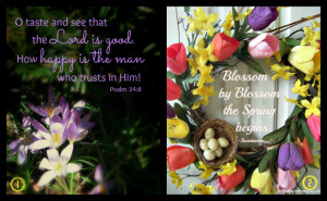 13 The Week at a Glance :: AnExtraordinaryDay.net