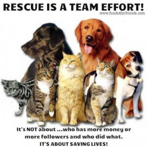 Rescue is a team effort