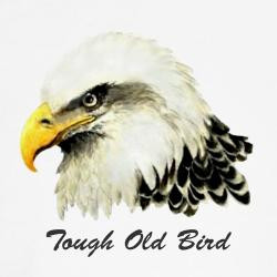 tough_old_bird_quote_with_bald_eagle_boxer_shorts.jpg?height=250&width ...