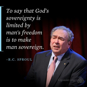 To say that God's sovereignty is limited by man's freedom is to make ...