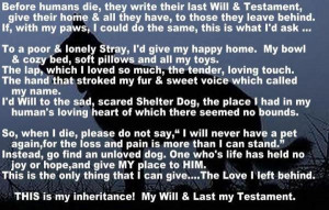 So sweet and sad, it's why we adopt our dogs