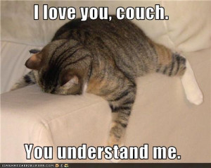 This is how I feel after a long day… | Funny Pictures, Quotes, Pics ...