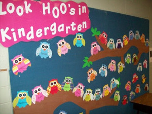 you can create a bulletin board filled with owls made