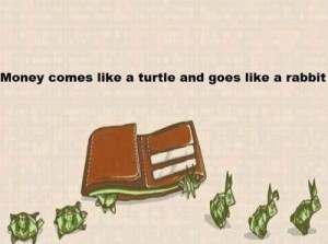 fun home funniest photos turtle rabbit joke turtle rabbit joke