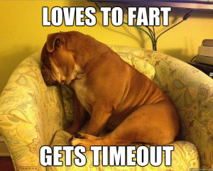 bulldog loves to fart funny meme