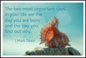 Mark Twain always amuses me. Usually his quotes are silly or cynical ...
