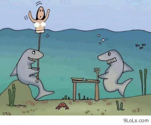 daily quotes, derp and derpina, funny animals, funny cartoons, funny ...