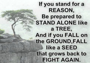 Published on August 11 2013 by KHAWAJA UMER FAROOQ