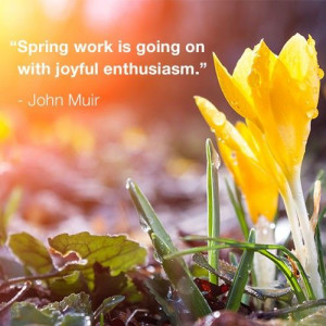 spring quotes