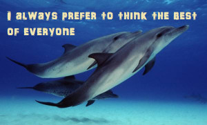 Dolphin Quotes