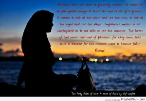 Rumi on Patience - Islamic Quotes About Patience (Sabr) ← Prev Next ...