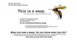 white humor funny wasp 1920x1080 wallpaper