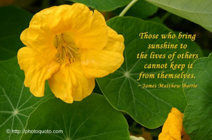 Sayings, Quotes: James Matthew Barrie