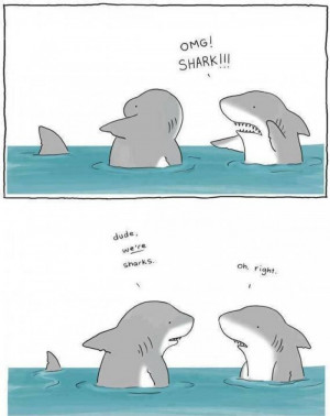 Funny shark cartoon