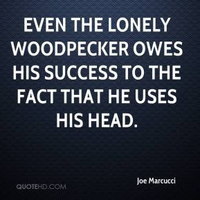 Joe Marcucci - Even the lonely woodpecker owes his success to the fact ...