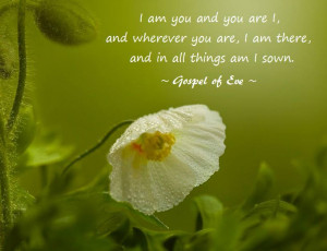 Gospel of Eve ~ I am you and you are I,