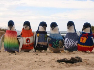 ... Good-hearted people knit penguins sweaters to protect them from oil