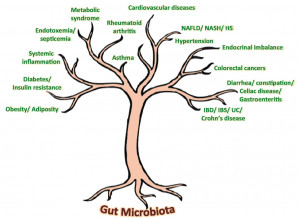 ... bowel disease; IBS, irritable bowel syndrome; UC, ulcerative colitis