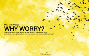 Matthew 6:26 – Why Worry? Papel de Parede Imagem