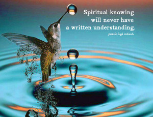 Hummingbird Water Droplets pamela quote