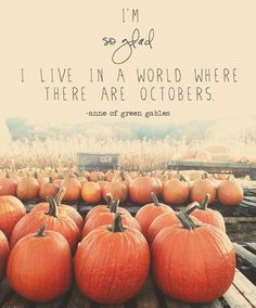 ... , season, autumn, pumpkin, book, october baby, quot, apple orchard