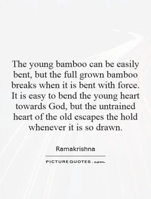 can be easily bent, but the full grown bamboo breaks when it is bent ...