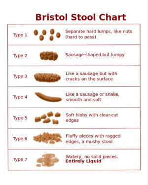 ... There is a chart for categorising your poop, the Bristol Stool Scale
