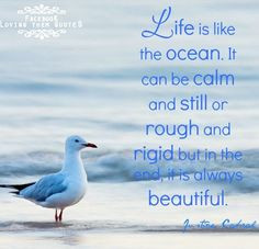 Ocean Quotes Life. QuotesGram