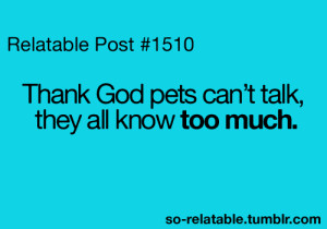 ... true story cats dogs pets so true teen quotes relatable funny quotes