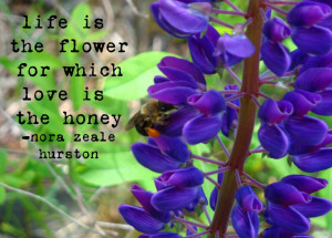 Lupin and Bee Photo with Nora Zeale Hurston Quote